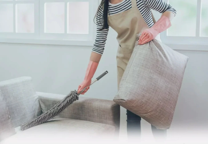 Teleskopická prachovka náhrada nopková