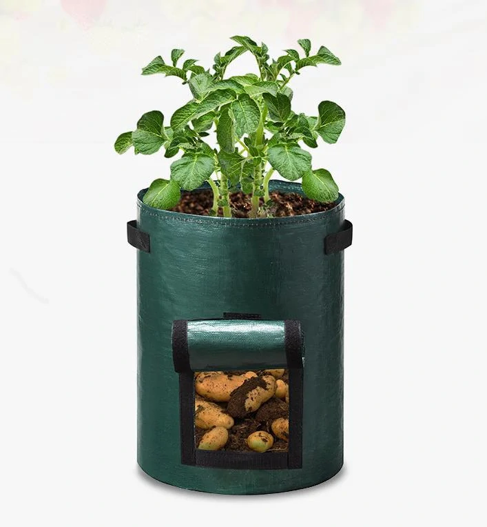 Pěstební pytel na brambory