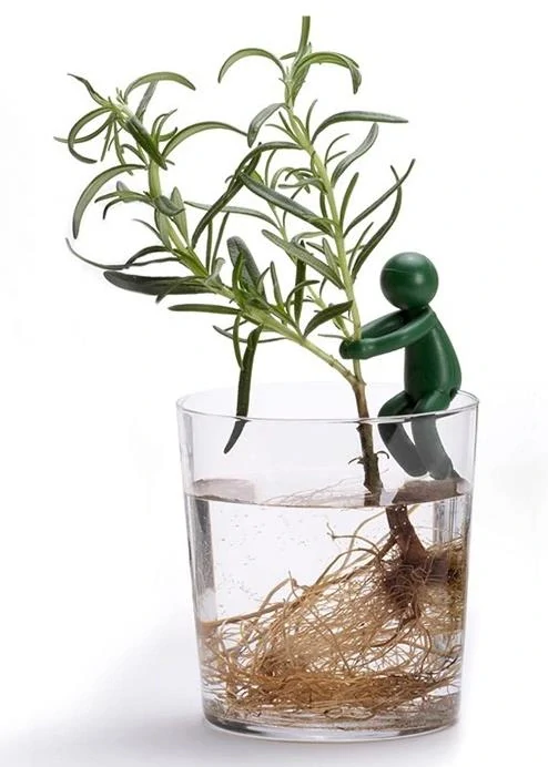 Držáky květin na sklenici 3ks