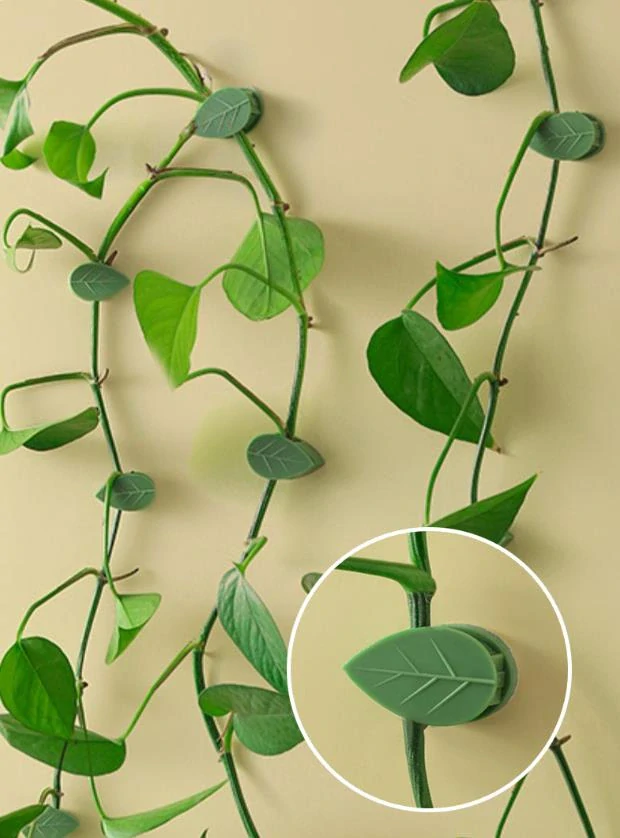 24x nalepovací držák rostlin - lístek