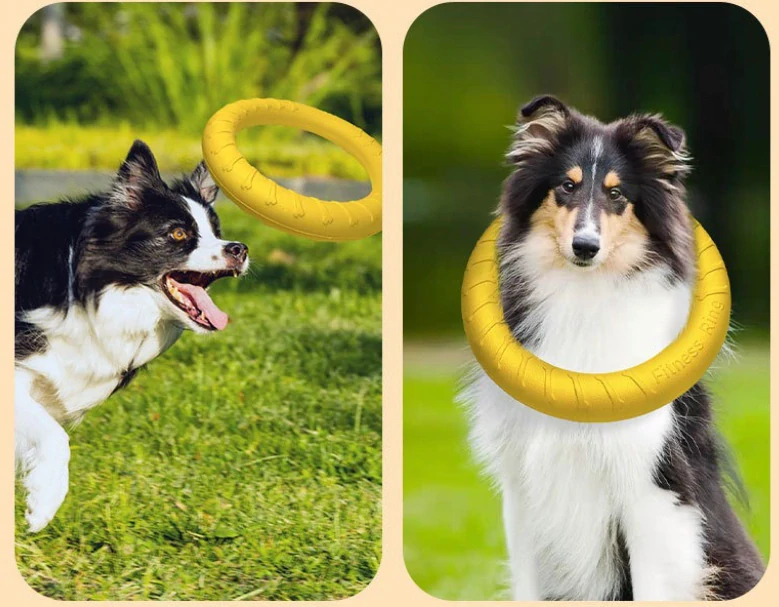 Interaktivní hračka pro psy – aportovací kruh 18 cm (žlutý)
