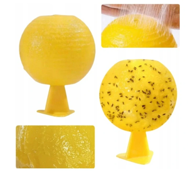 Lepová past na ovocné mušky a létající hmyz